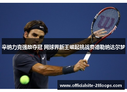 辛纳力克强敌夺冠 网球界新王崛起挑战费德勒纳达尔梦 辛纳力克强敌夺冠 网球界新王崛起挑战费德勒纳达尔梦