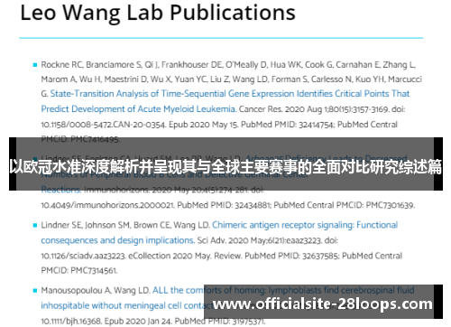 以欧冠水准深度解析并呈现其与全球主要赛事的全面对比研究综述篇 以欧冠水准深度解析并呈现其与全球主要赛事的全面对比研究综述篇